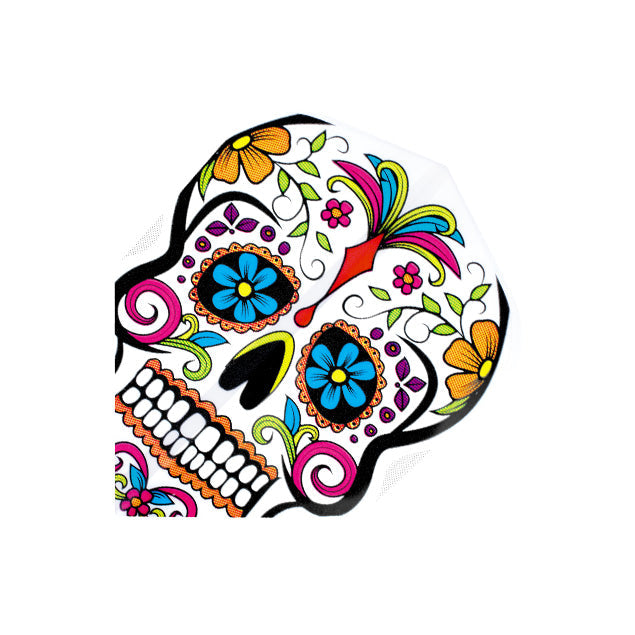 Quadro- Coloured Skull