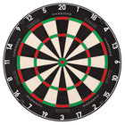 Fortis Dartboard