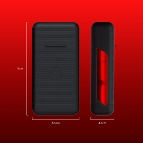 Vault Darts Case
