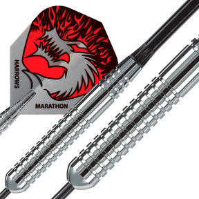 Silver Arrows - Ringed Steel Tip Darts