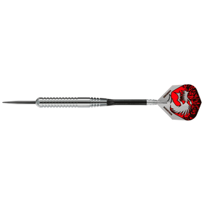 Silver Arrows - Ringed Steel Tip Darts